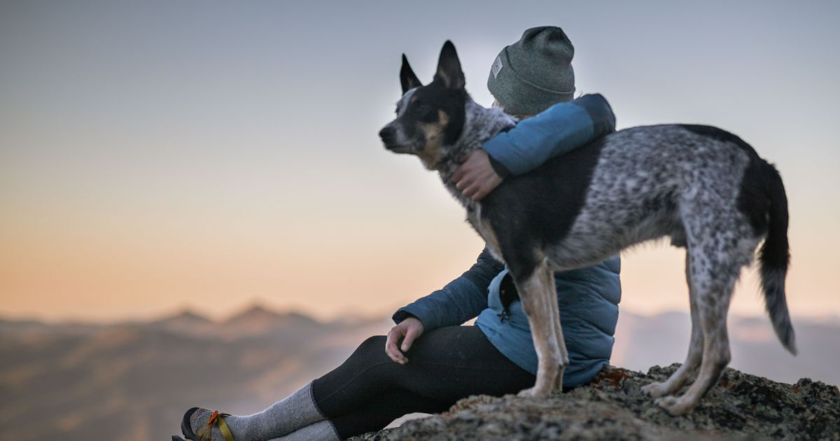 Dogs And Your Mental Health