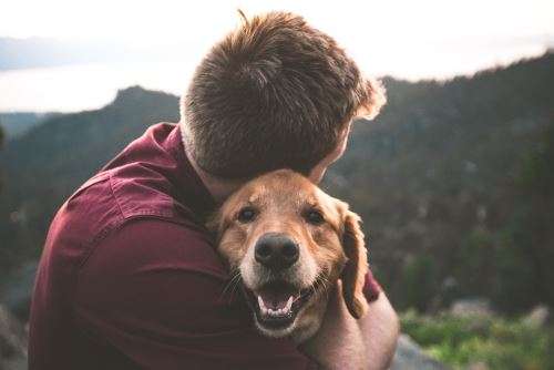 How Dogs Help You Live A Healthier Life