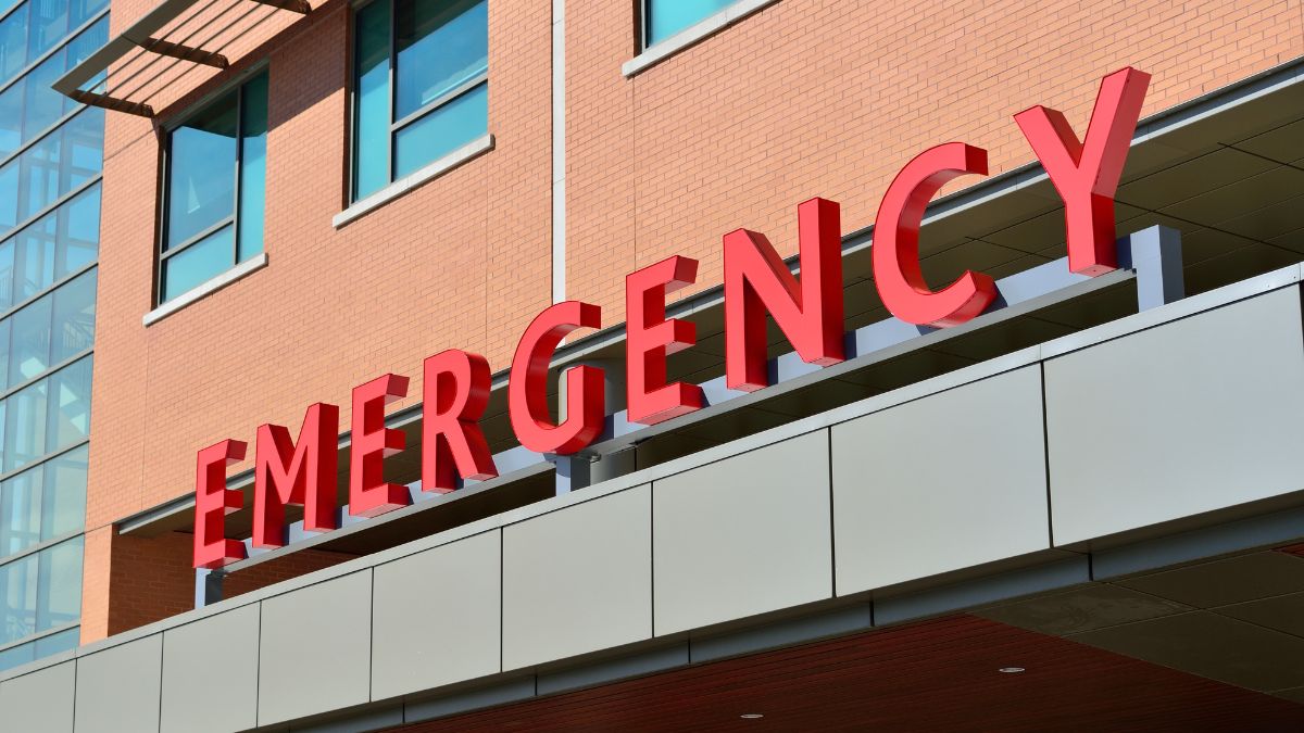 Emergency Pet Care: Are Your Pets Prepared If Something Happens to You?