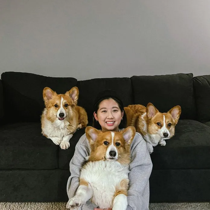 Kandy, PAWS Pro Pet Sitter