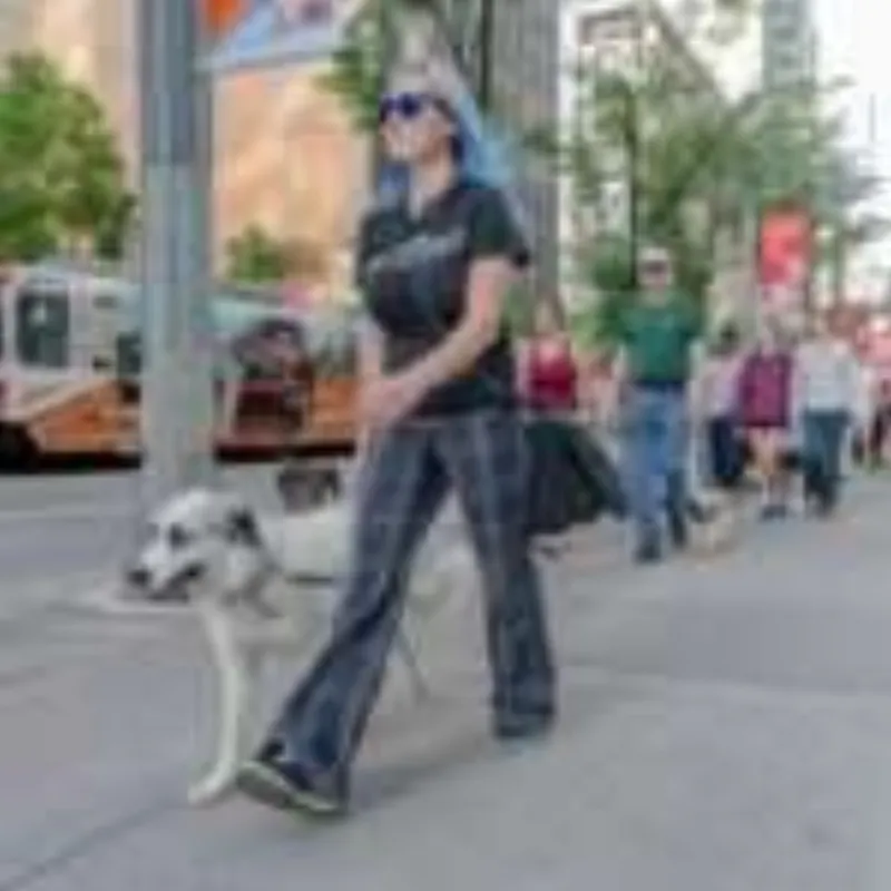 Dog learning obedience commands