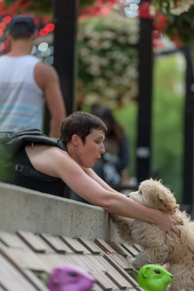 Cultured Canines outdoor dog training in Calgary